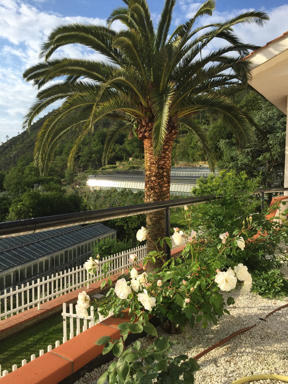 B&B Claro De Luna Tovo San Giacomo Eksteriør billede